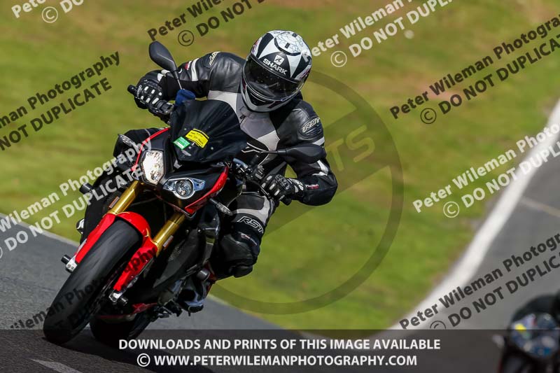 Oulton Park 20th March 2020;PJ Motorsport Photography 2020;anglesey;brands hatch;cadwell park;croft;donington park;enduro digital images;event digital images;eventdigitalimages;mallory;no limits;oulton park;peter wileman photography;racing digital images;silverstone;snetterton;trackday digital images;trackday photos;vmcc banbury run;welsh 2 day enduro